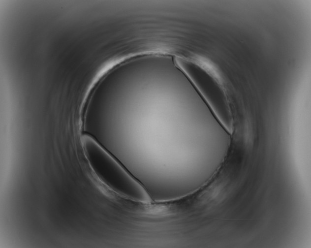 X0000086021332200703301024