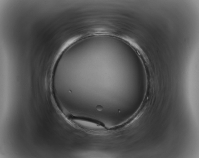 X0000086021333200703301024