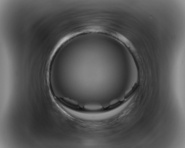 X0000086021334200703301024