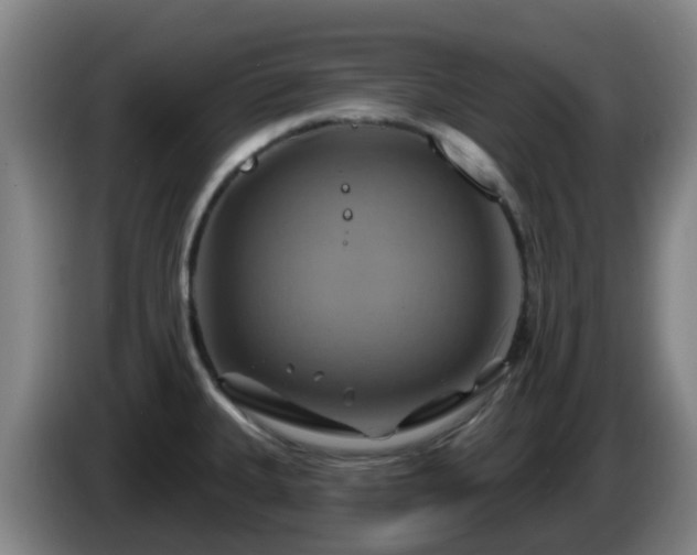 X0000086021335200703301024