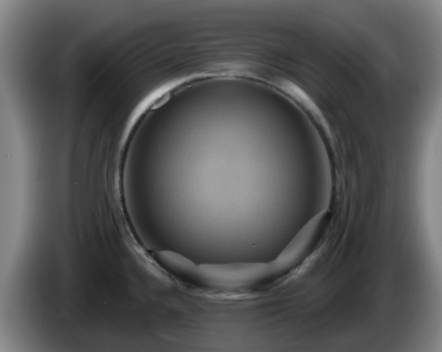 X0000086021336200703301024