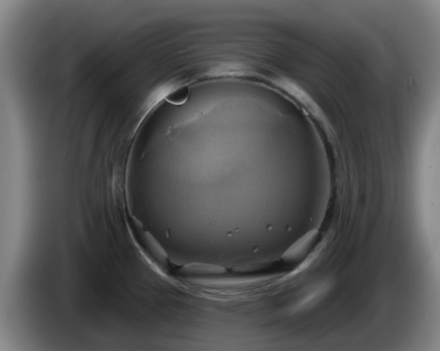 X0000086021337200703301024