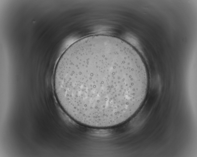 X0000086021338200703301024