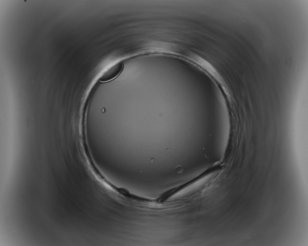 X0000086021339200703301024
