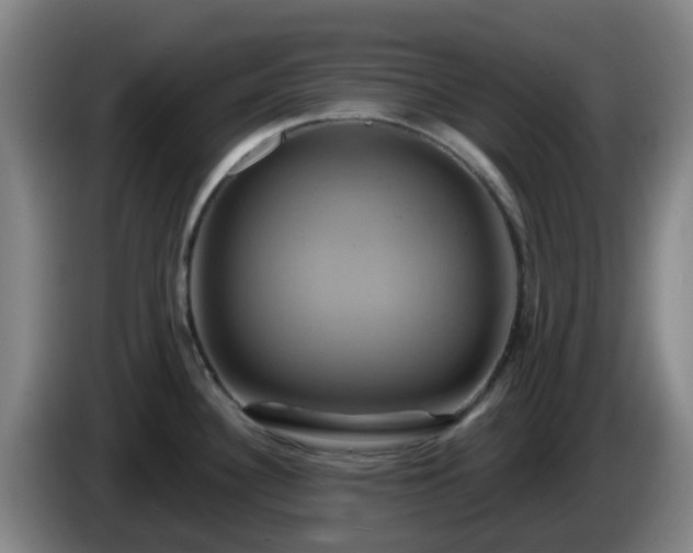 X0000086021340200703301024
