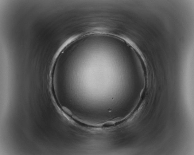 X0000086021341200703301024