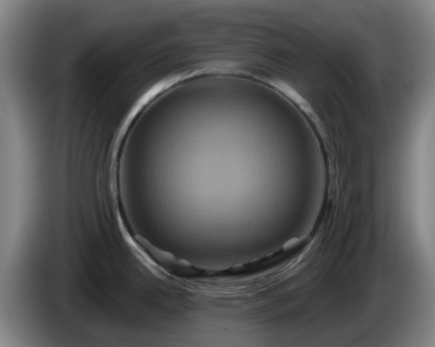 X0000086021342200703301024