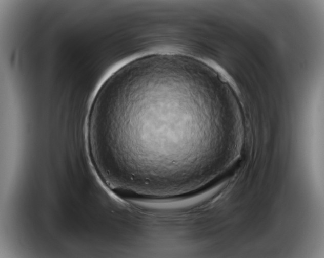 X0000086021343200703301024