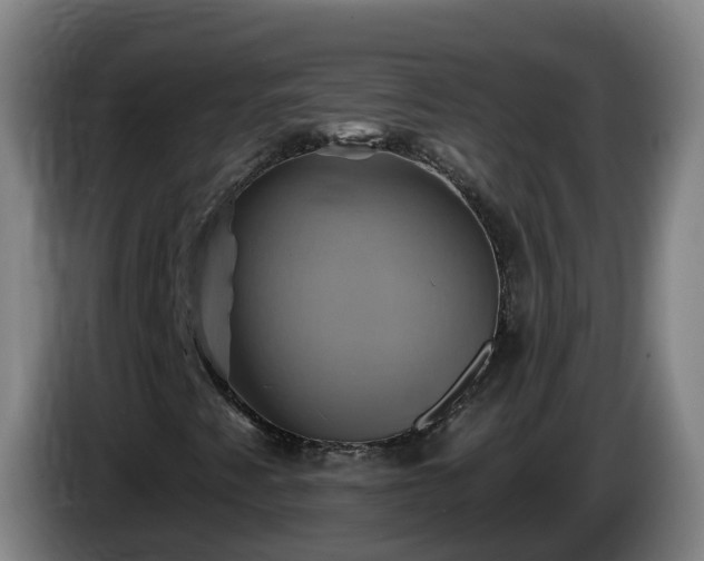 X0000086021345200703301023