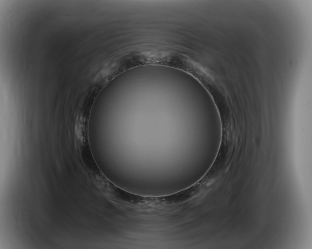 X0000086021346200703301023