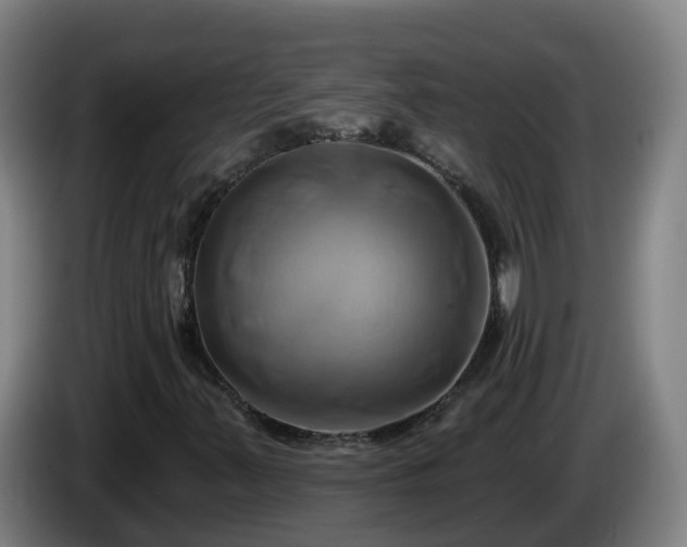 X0000086021347200703301023