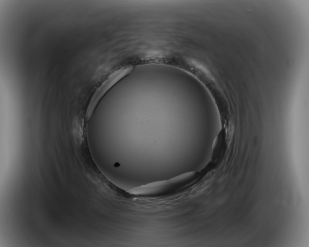 X0000086021348200703301023