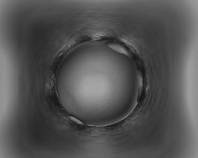 X0000086021349200703301023