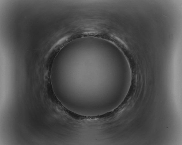 X0000086021351200703301023