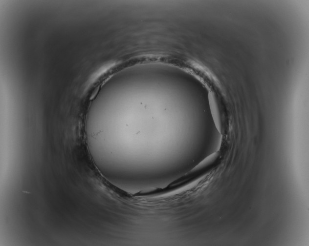 X0000086021352200703301023