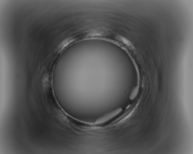 X0000086021353200703301023
