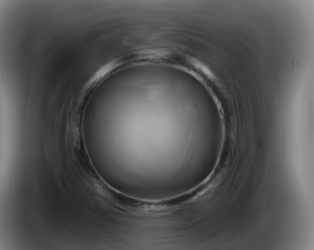 X0000086021354200703301023
