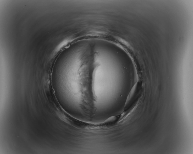 X0000086021355200703301023