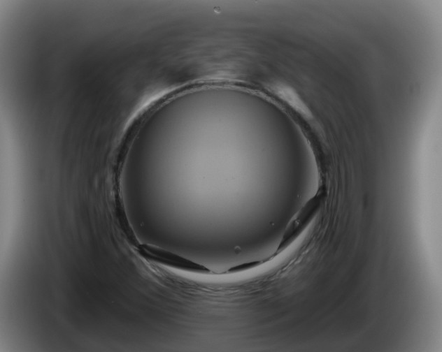 X0000086021356200703301023