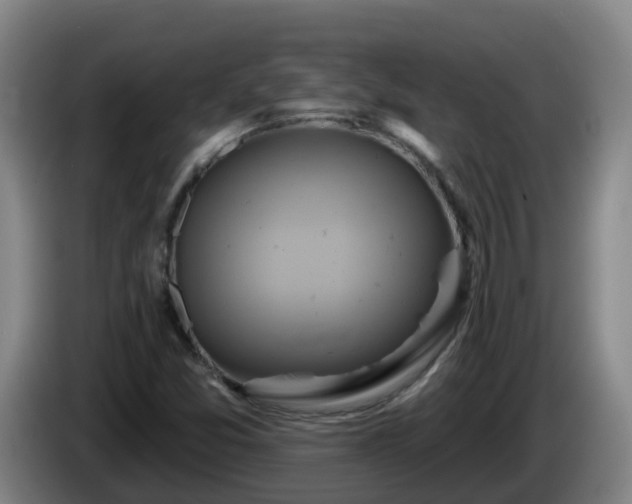 X0000086021357200703301023