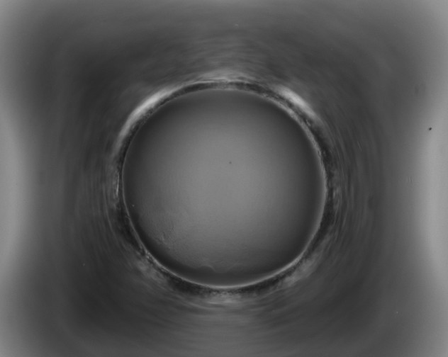 X0000086021358200703301023