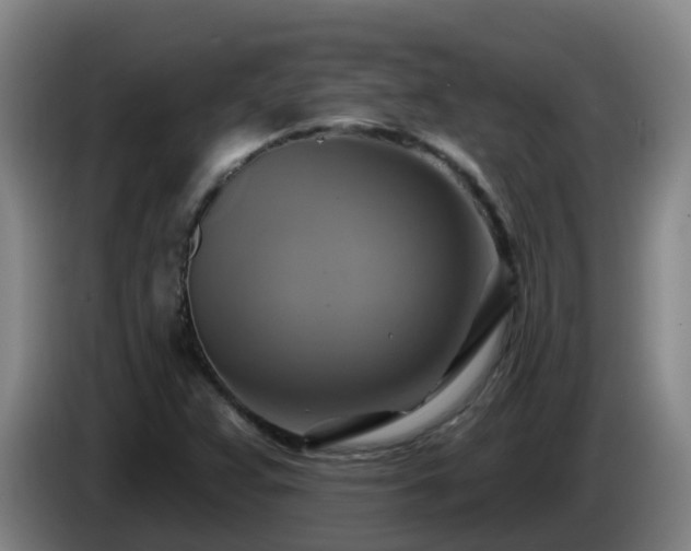 X0000086021359200703301023