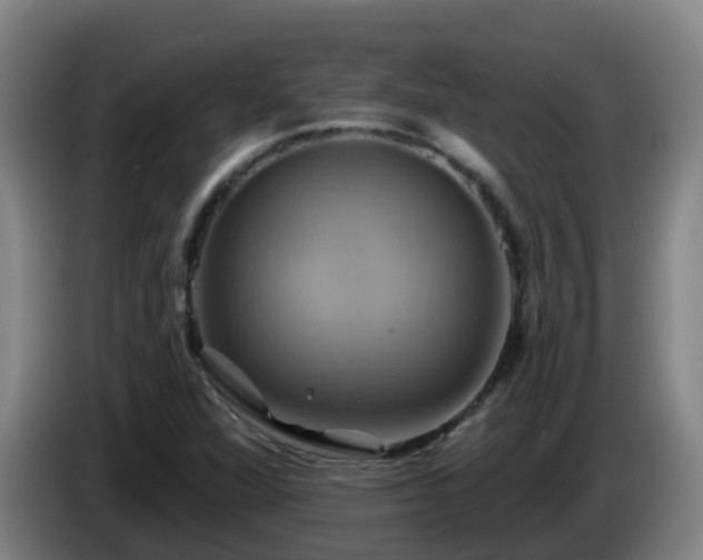 X0000086021360200703301023