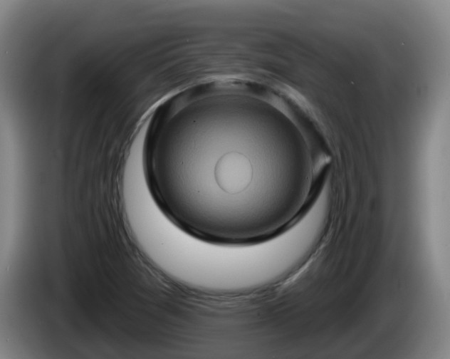 X0000086021361200703301023