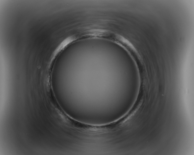 X0000086021362200703301023
