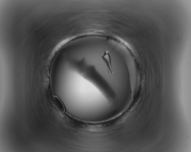 X0000086021363200703301023