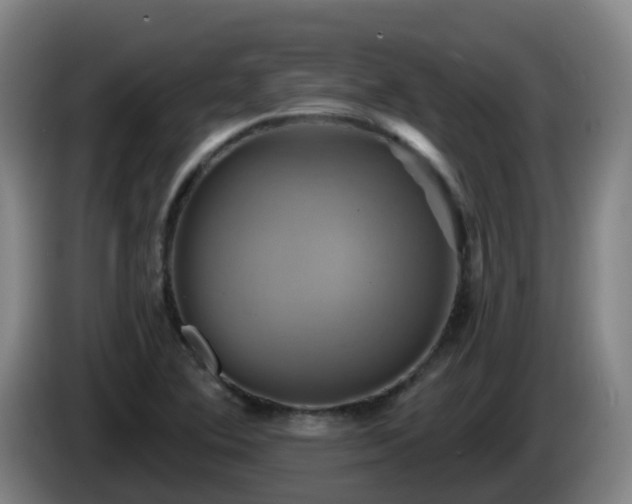 X0000086021364200703301023