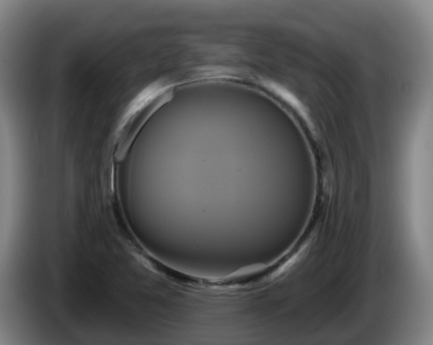 X0000086021365200703301023