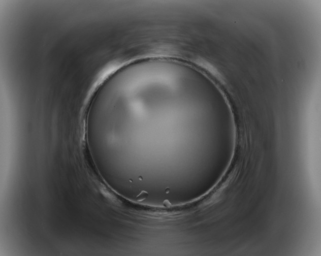 X0000086021366200703301023
