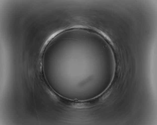 X0000086021367200703301023