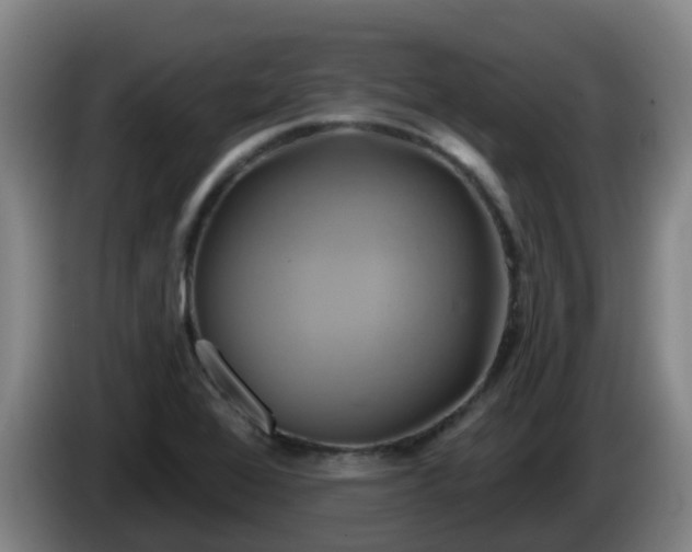 X0000086021368200703301023