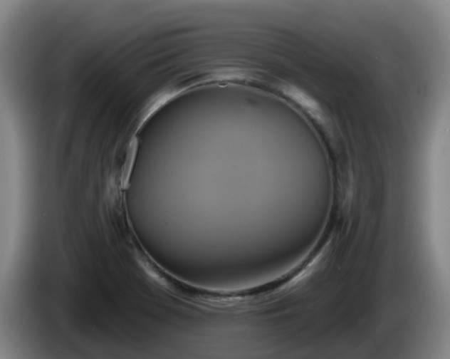 X0000086021369200703301023