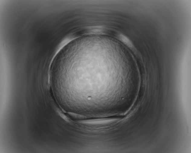 X0000086021370200703301023
