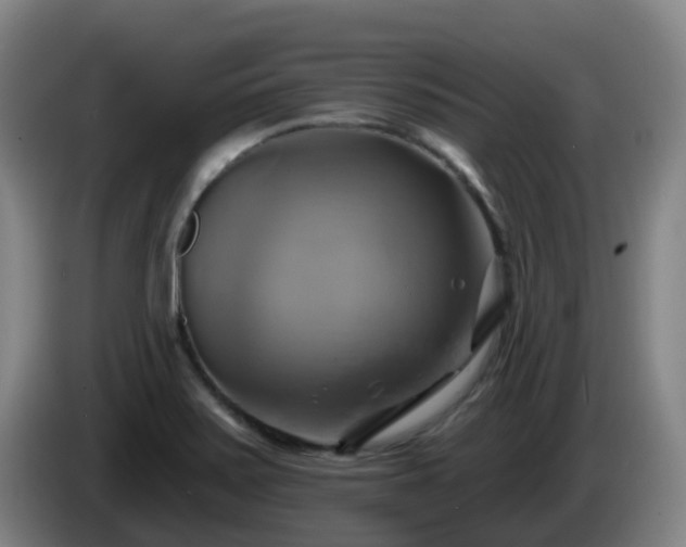 X0000086021371200703301023