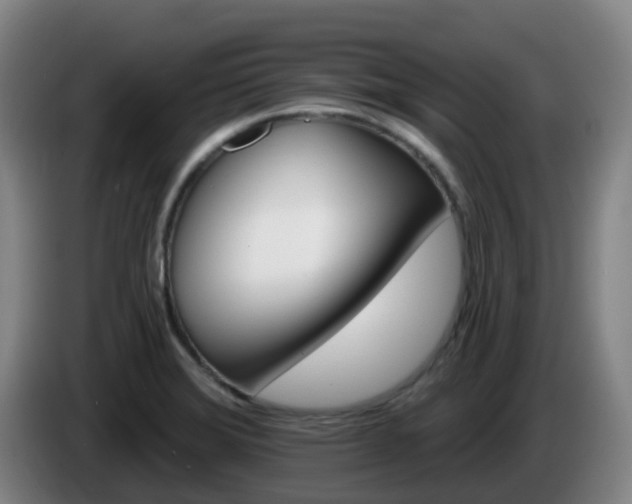 X0000086021372200703301023