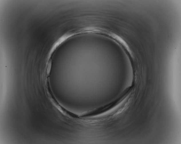 X0000086021373200703301023