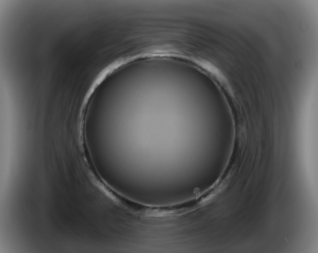 X0000086021374200703301023