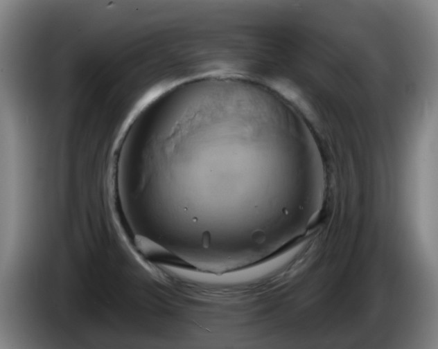 X0000086021375200703301023