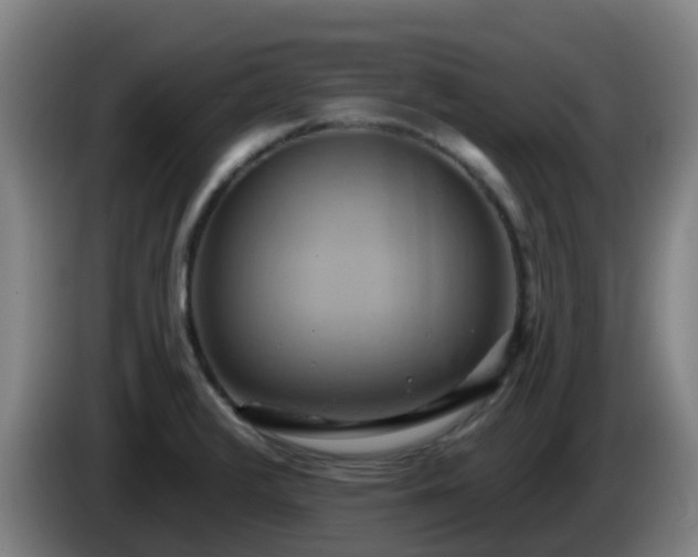 X0000086021376200703301023