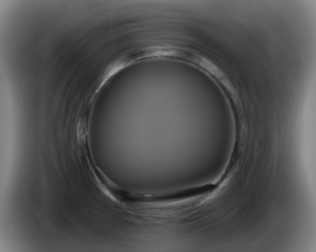 X0000086021377200703301023