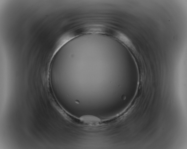 X0000086021378200703301023