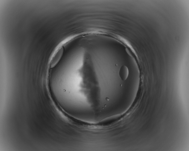 X0000086021379200703301023
