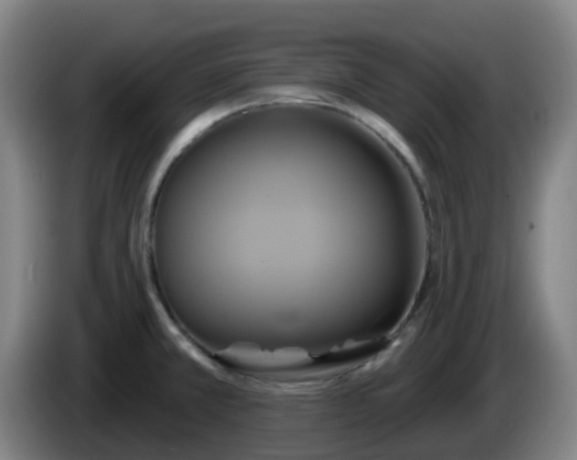 X0000086021381200703301023