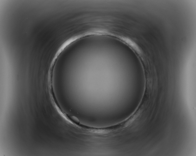 X0000086021382200703301023