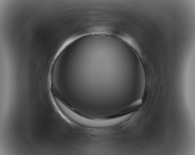 X0000086021383200703301023