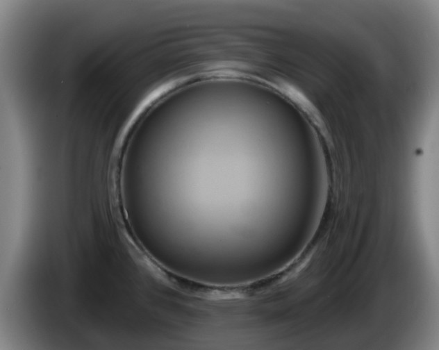 X0000086021384200703301023